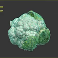Fresh Cauliflower Head with Green Leaves and White Florets as Nutritious Vegetable Ingredient