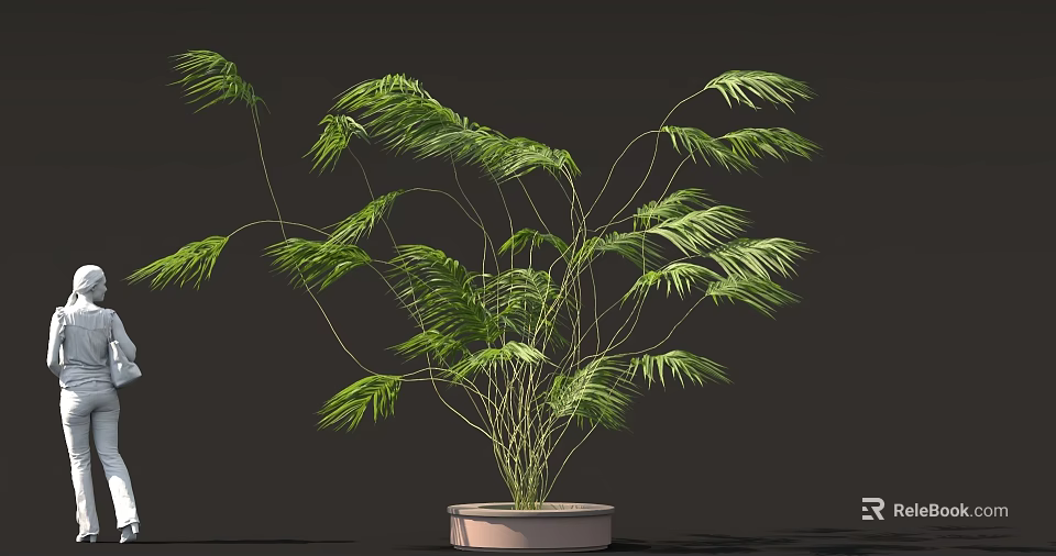 Lush Green Plant With Long Slender Leaves In Light Colored Pot On Dark Background 3d model 