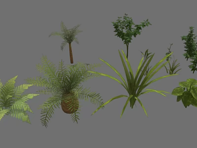 Various Types of Green Plants Featuring Ferns Palm Trees Bushes and Leafy Foliage 3d model