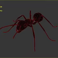 Realistic Red Ant 3D Model Rendering on Black Background with Detailed Legs