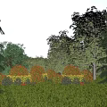 Natural Garden Landscape With Lush Green Lawn Various Trees And Flowering Shrubs