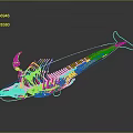 Anatomical Fish Skeleton Organ Structure Featuring Bone Framework And Details