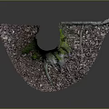 Garden Ornament Featuring Tree Stump With Exposed Roots Green Moss And Fallen Leaves