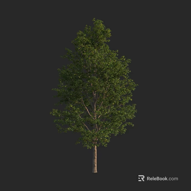 Tall Green Arbor Tree With Lush Foliage And Sturdy Brown Trunk 3d model 