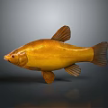 Golden Fish Isolated On Gray Background With Glossy Body And Distinct Fins