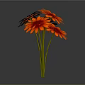 Blooming Red Gerbera Flowers With Green Stems Against Gray Background