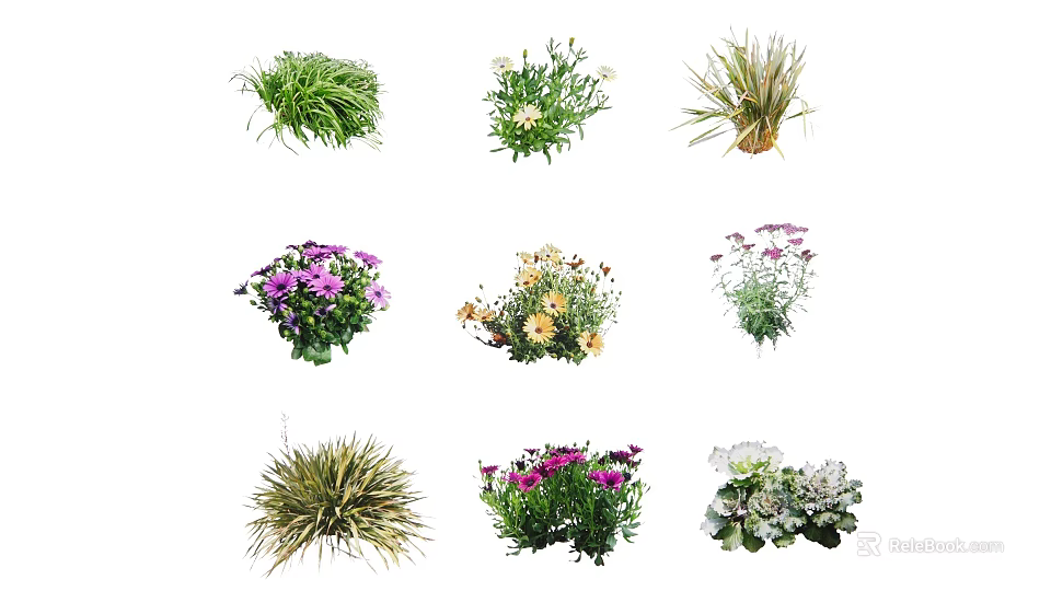 Various Types of Garden Shrubs with Colorful Blooms and Diverse Foliage 3d model 