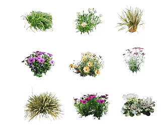 green plants and flowers 3d model