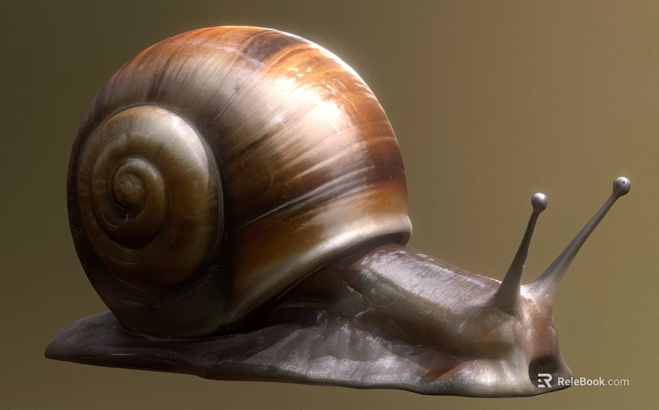 Reptile Snail Close Up View With Spiral Shell Brown Beige Stripes And Body Antennae 3d model 