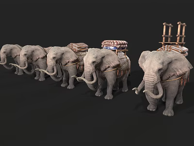 Group of Five Elephants Carrying Cargo with Traditional Saddles and Wooden Structures 3d model