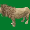 Majestic Lion With a Thick Mane Isolated Standing on Green Background