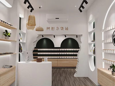 Modern Specialty Store Interior Design With White Walls Wooden Shelves Woven Lights And Green Plants 3d model