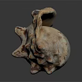 Artisan Handcrafted Shell Like Sculpture Carving With White Brown Speckled Texture Design