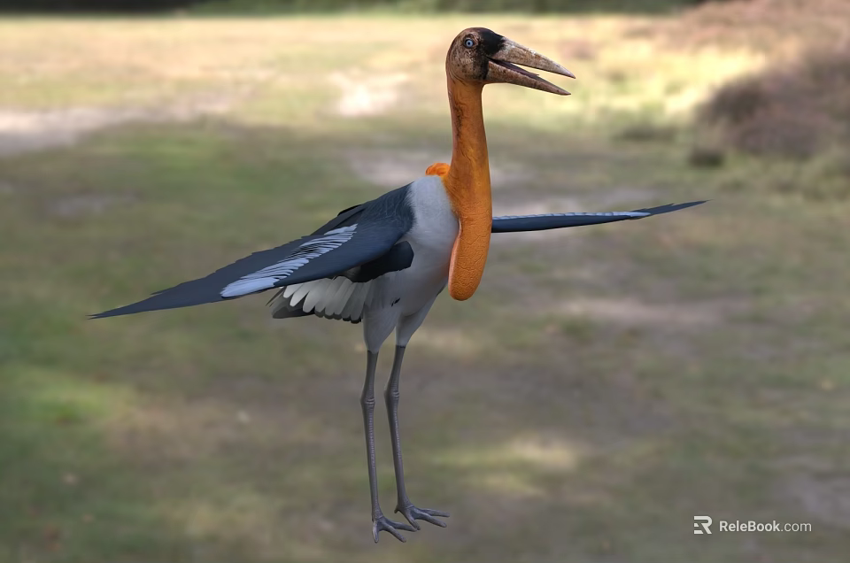 Flying Animal Large Bird With Orange Neck Black Wings White Body Long Beak In Grassland 3d model 