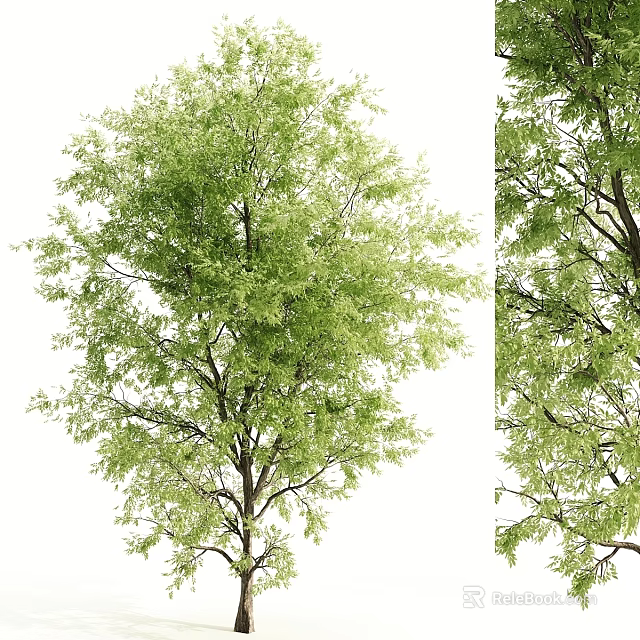 Elegant Vintage Clock Standing Beside Lush Green Tree in Natural Outdoor Scene 3d model 