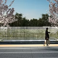 Outdoor Scenic Feature Wall With Perforated Square Panels And Cherry Blossom Trees