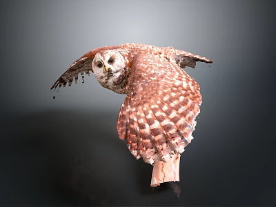 Flying Owl with Brown and White Spotted Feathers Spread Wings Against Dark Background 3d model