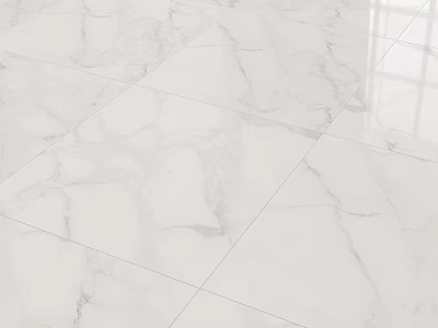 White Marble Floor Tiles With Natural Veining And Polished Finish For Interior 3d model