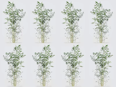 Bamboo Plants With Lush Green Leaves And Slender Stems In Various Natural Views 3d model