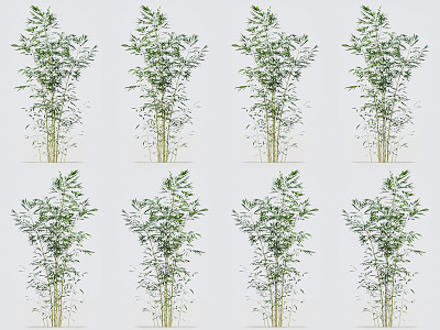 Modern bamboo 3d model