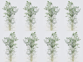 Modern bamboo 3d model