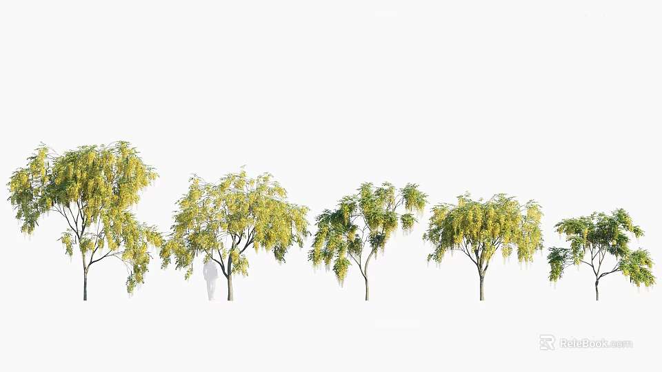 Multiple Trees With Lush Foliage Arranged In A Row And Different Growth Forms 3d model 
