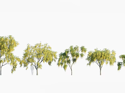 Multiple Trees With Lush Foliage Arranged In A Row And Different Growth Forms 3d model