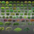 Various Types Of Colorful Bushes With Different Shapes For Garden Landscaping