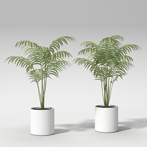 potted plant 3d model