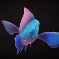 3D Rendered Colorful Fish with Big Eyes Blue and Pink Gradient Fins on Black Background