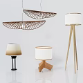 Modern lighting combination rattan chandelier table lamp floor lamp 3d model