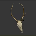 Detailed Deer Skull with Golden Antlers on Dark Background Decorative Art