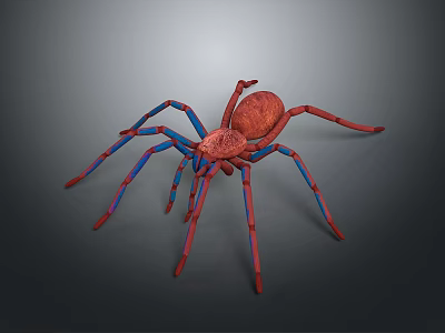 Spider With Red Body And Blue Red Legs On Gray Background 3d model