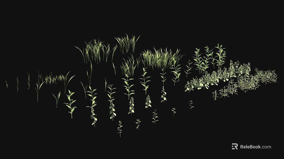 Green Grass and Plants with Various Shapes in Natural Growth on Black Background 3d model 