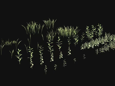 Green Grass and Plants with Various Shapes in Natural Growth on Black Background 3d model