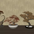 Bonsai Plants with Red Brown Leaves on Wooden Table White Black Wooden Pots