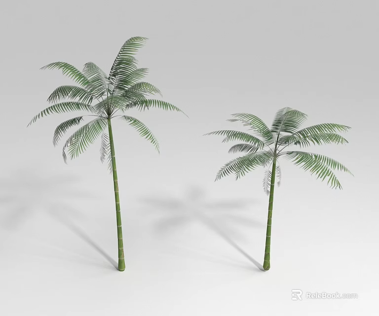 Two Green Leafy Shrubs With Slender Trunks And Fresh Foliage On White Background 3d model 