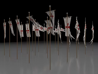 The Modern Flag 3d model