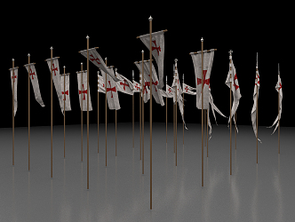 The Modern Flag 3d model