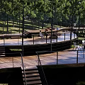 Scenic Park Landscape With Wooden Deck Stairs Railings And Lush Green Trees