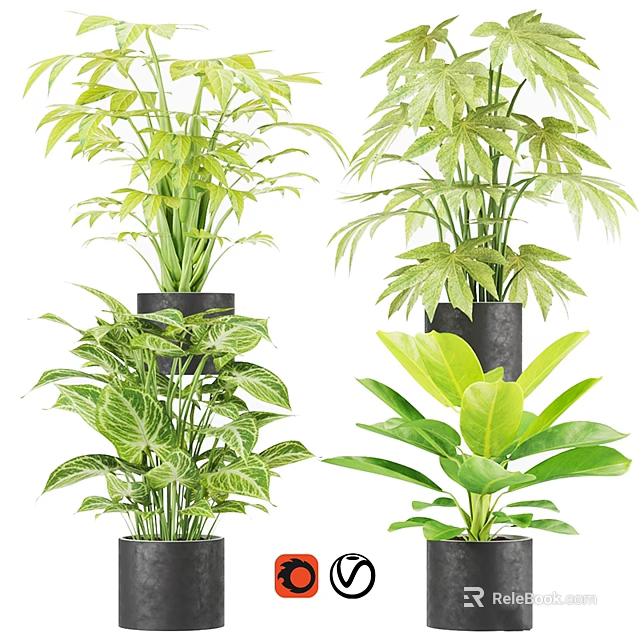 Various Decorative Potted Green Plants With Different Leaf Shapes In Black Garden Pots 3d model 