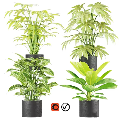 Various Decorative Potted Green Plants With Different Leaf Shapes In Black Garden Pots 3d model
