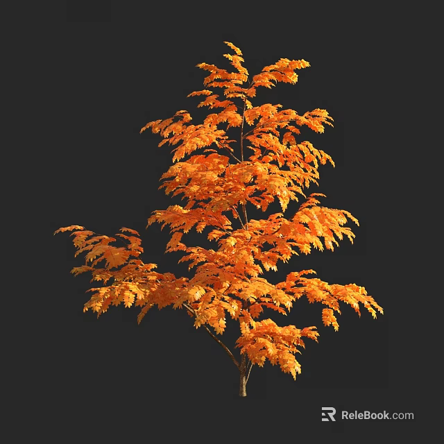 Tall Lush Tree With Vibrant Orange Autumn Leaves Against Dark Black Background 3d model 