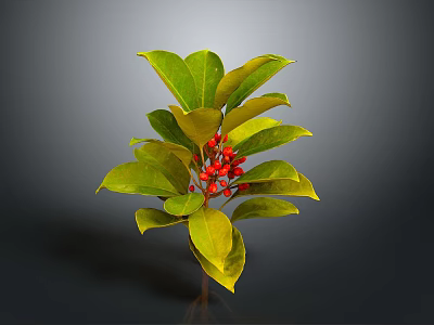 Lush Green Leafy Plant With Fresh Red Berries And Vibrant Foliage 3d model