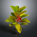 Lush Green Leafy Plant With Fresh Red Berries And Vibrant Foliage