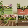 Vibrant Flower And Plant Collection In Colorful Pots With Succulents And Blooms