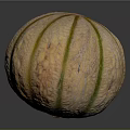 Fresh Ripe Cantaloupe Melon With Yellow Green Stripes And Smooth Surface On Dark Background