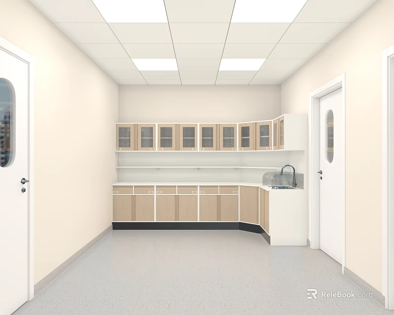 Laboratory Interior With Cabinets Glass Door Storage Sink White Doors Ceiling Lights Light Floor 3d model 