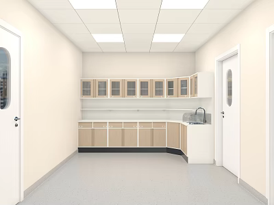 Laboratory Interior With Cabinets Glass Door Storage Sink White Doors Ceiling Lights Light Floor 3d model