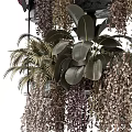 Stylish Floral Display With Multi Layered Shelf And Varied Hanging Foliage Plants
